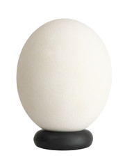 big egg