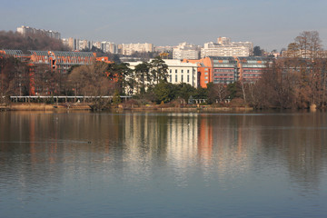 Cité Internationale vue du Parc de la Tête d'Or