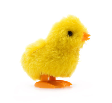 Toy chicken isolated