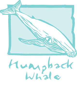 Humpback Whale in Blue
