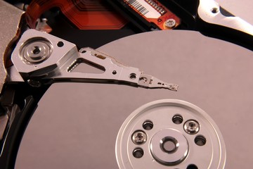 Testina sul disco