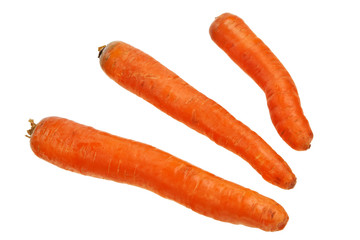 Three ripe carrots isolated over white background.
