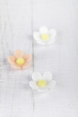 Fototapeta na wymiar three sugar blossom flowers on white old table