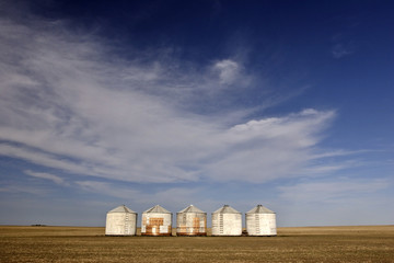 Five granaries in the middle of a field © pictureguy32