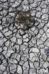 Cracked mud on dried up Big Muddy Lake of Saskatchewan