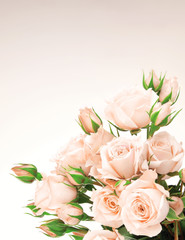 Fresh roses border © Anna Om