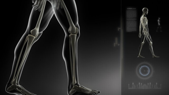 Human walking man knee scan