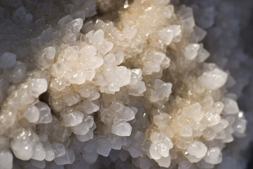 Dead Sea salt on rocks