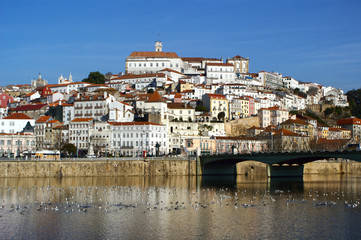 Fototapeta premium coimbra