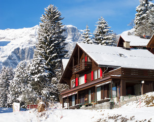 Winter in alps