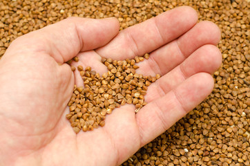buckwheat in hand