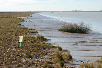 PARAJE NATURAL. PARQUE DE DOÑANA, CÁDIZ. ANDALUCÍA