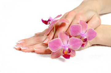 Beautiful hand with perfect nail french manicure and purple orch