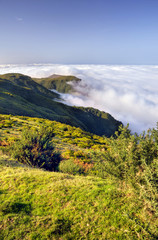 Valley, Lomba de Risco,  Madeira