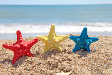 Fototapeta na wymiar colorful starfish shells on the beach