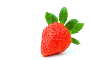 one strawberry