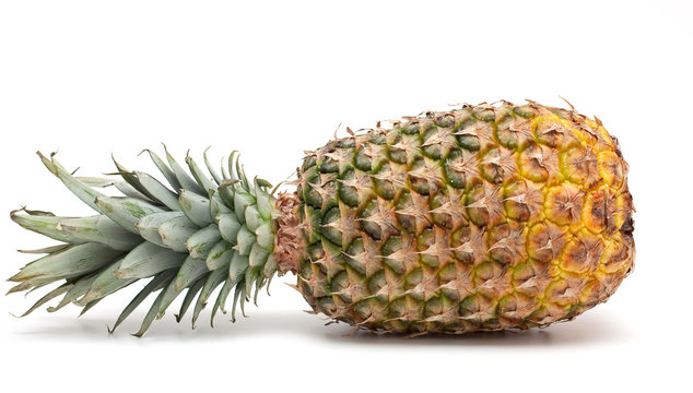 lying pineapple