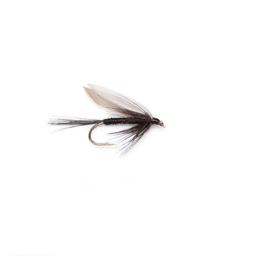 Trout Flies Images – Browse 56 Stock Photos, Vectors, and Video