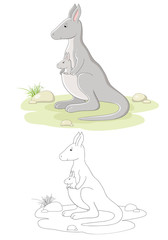 Vector family of kangaroo