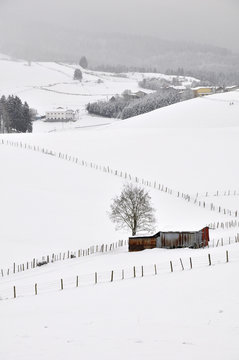 montagna neve nevicata inverno altopiano asiago veneto