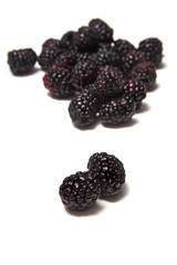 Blackberries isolated on a white studio background.
