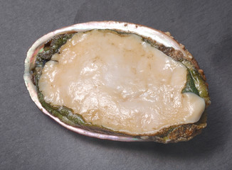 Abalone