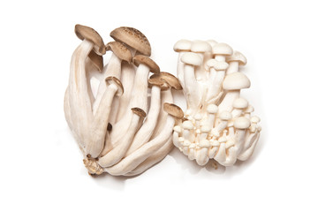 Hon-shimeji and Enoki mushroms.