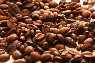 Roasted coffee beans