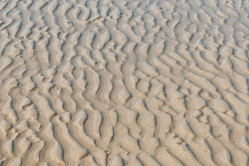 Spaziergang am Strand von Ording, Deutschland.