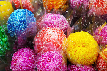 Chrysanthemum flowers on sale for Chinese New Year