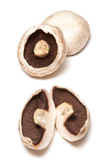 large white edible mushrooms
