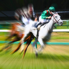 Course hippique 2011 A
