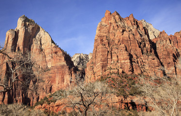 Fototapeta premium Court of Patricarchs Zion Canyon National Park Utah