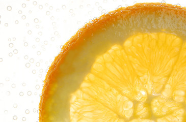 Backlite view of an slice of orange fruit ... with bubbles.