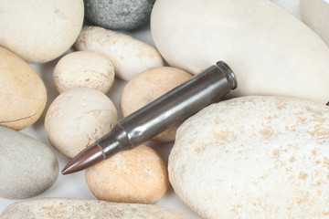 Bullet on a stones