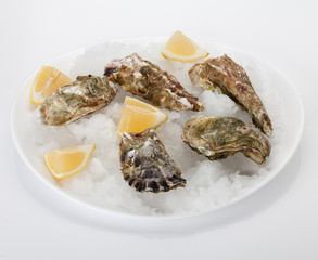 Oyster with lemon