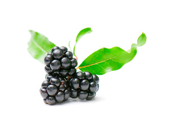 blackberry and raspberry