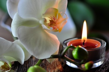 Wellness, Symbol