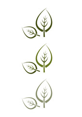 Für Logo und Design: Grüne Blätter