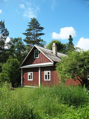 Wooden house in the woods