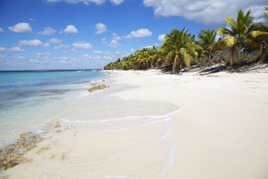 Tropical white sand beach