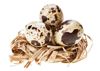 Obraz premium Some quail eggs in the straw nest