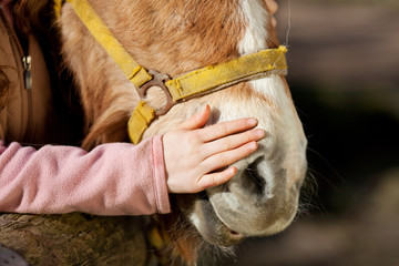 kind streichelt pferd
