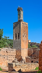 Kellah tower and stork