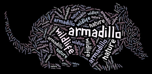 Textcloud: silhouette of armadillo