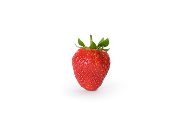 Single Strawberry