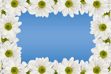 Flower frame with space for copy on a blue background