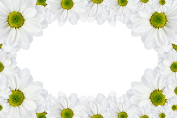 Flowers frame on white background