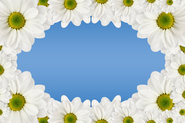 Flowers frame on a blue background