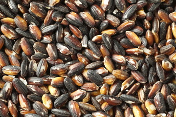 Japanese Black Rice